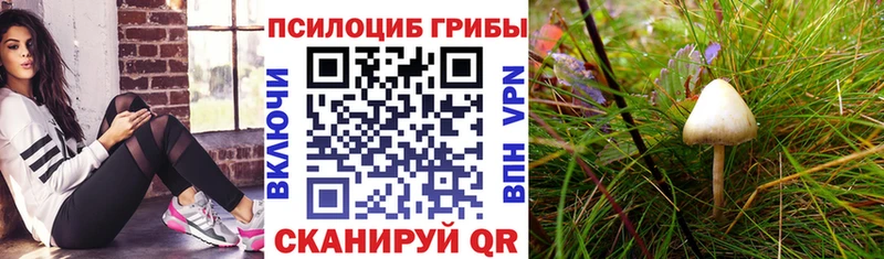 Галлюциногенные грибы прущие грибы  где продают   ссылка на мегу как зайти  маркетплейс официальный сайт  Бирюч 